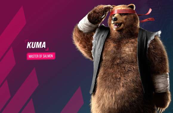 Tekken 8 Kuma - Master of Salmon wallpapers hd quality