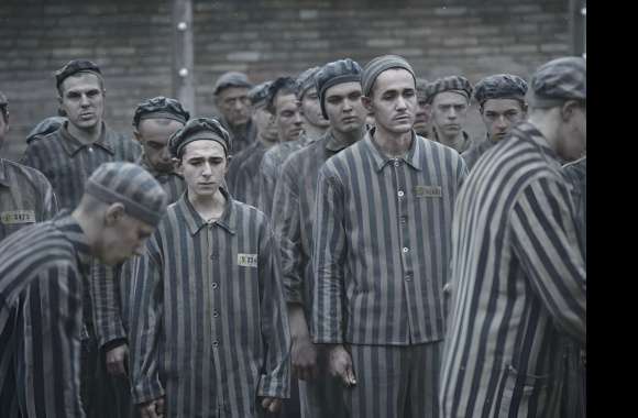 The Tattooist of Auschwitz HD Series Wallpaper