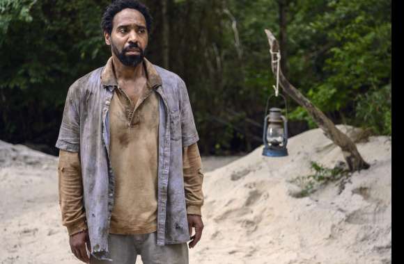 The Walking Dead – Post-Apocalyptic Survivor wallpapers hd quality