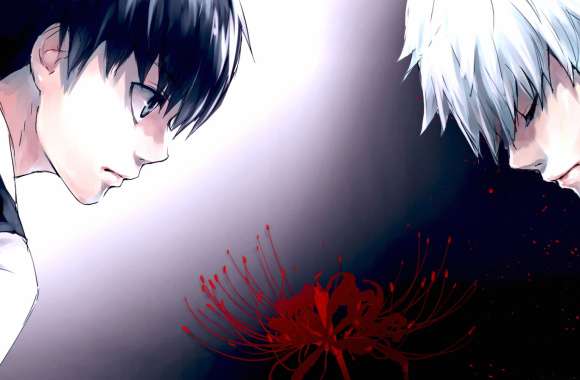 Tokyo Ghoul Ken Kaneki - Flower, Black & White Hair, Grey Eyes
