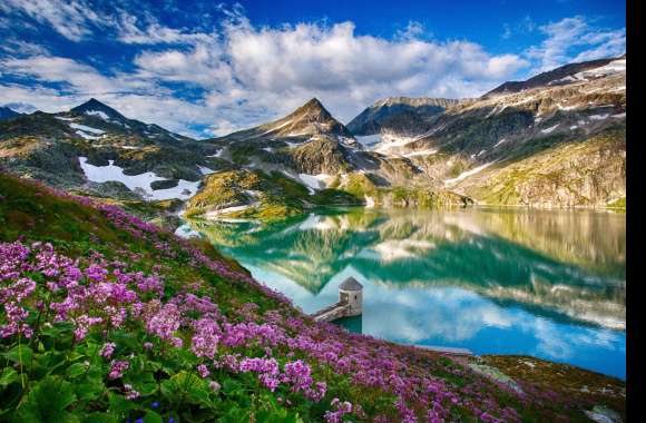 Tranquil Reflections of Mountain Scenery and Vibrant Flora