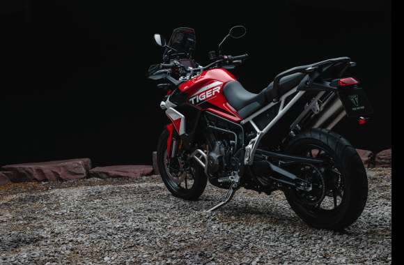 Triumph Tiger 900 GT Adventure Motorcycle