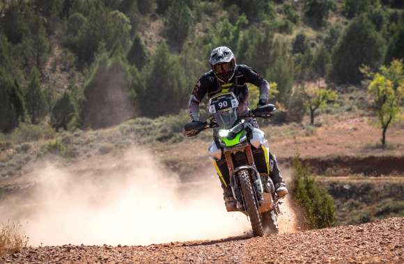 Triumph Tiger 900 Rally Pro For Adventure Bike Enthusiasts