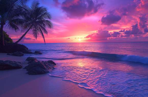 Tropical beach Aesthetic