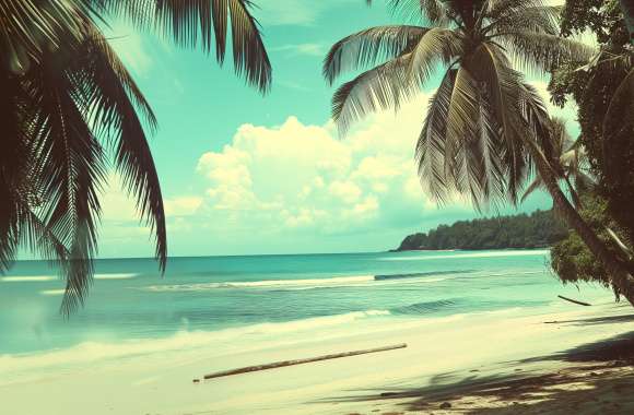 Tropical Beach Paradise with Palm Trees wallpapers hd quality