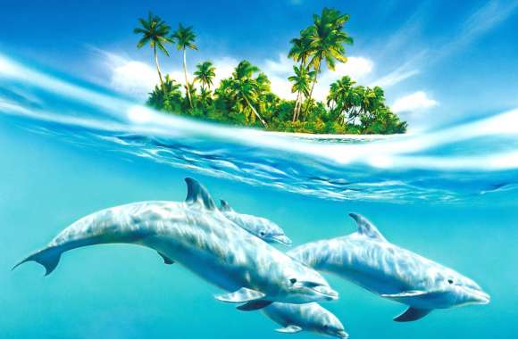 Tropical Dolphins