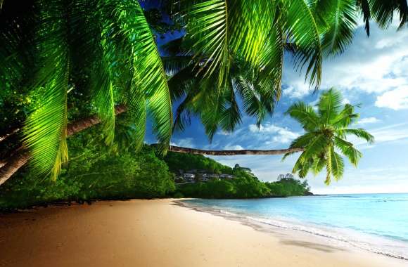 Tropical Shoreline - HD Beach Wallpaper