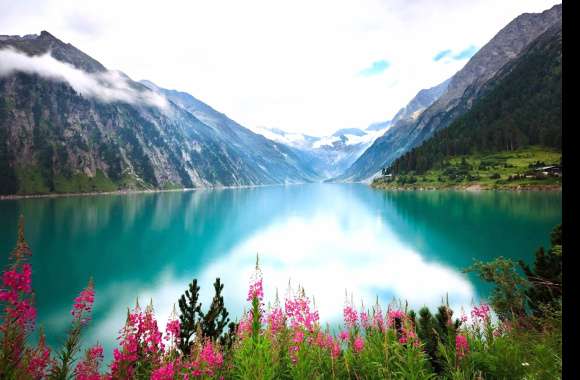 Turquoise Landscape Nature Flower Mountain Lake