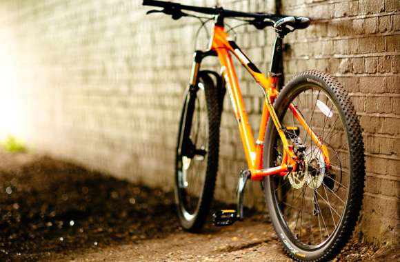 Urban Ride HD Bicycle Wallpaper