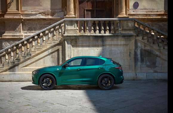 Vehicle Alfa Romeo Stelvio