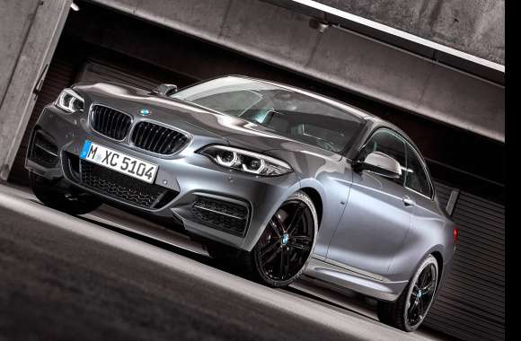 Vehicle BMW 2 Series