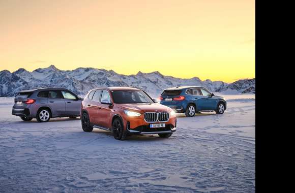 Vehicle BMW X1