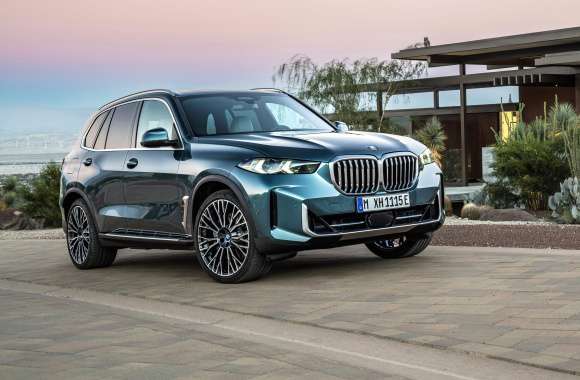 Vehicle BMW X5