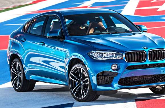 Vehicle BMW X6