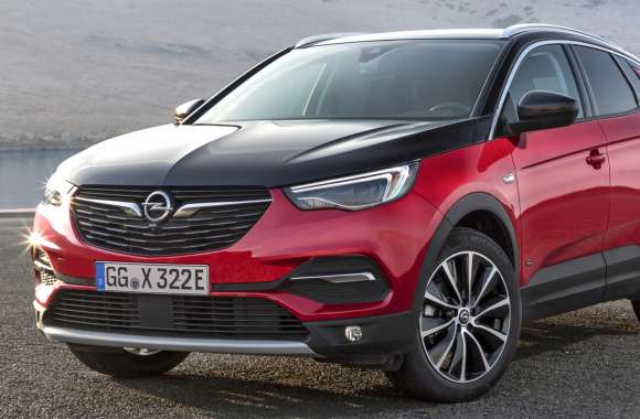 Vehicle Opel Grandland X