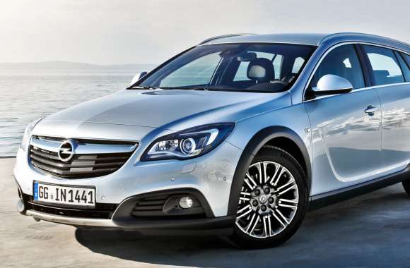 Vehicle Opel Insignia Country Tourer