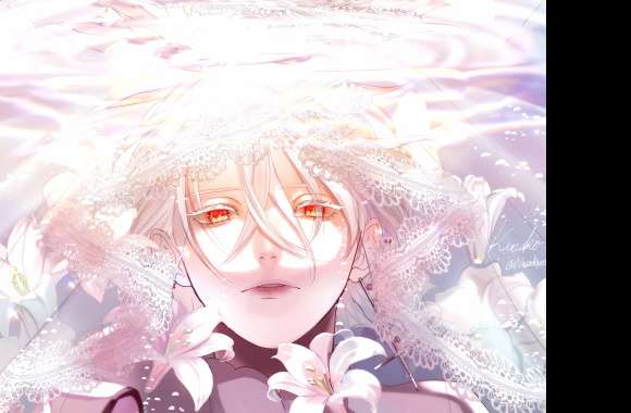 Veil of Blossoms - HD Anime Wallpaper