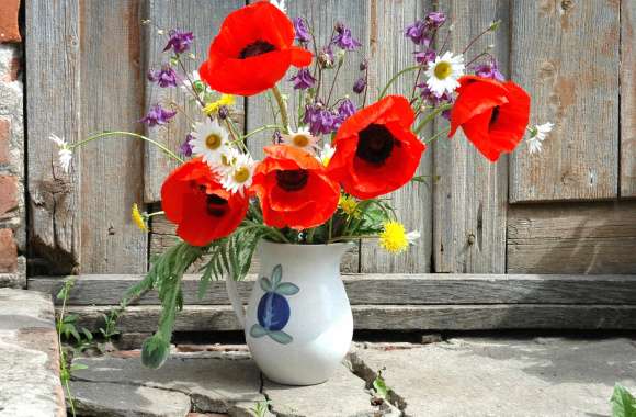 Vibrant Flower Vase A Stunning for Your Home wallpapers hd quality