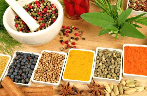 Vibrant Herbs and Spices for Culinary InspirationH1