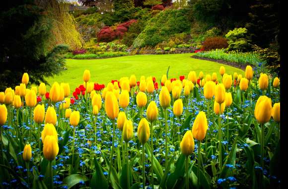 Vibrant Yellow Tulips in A Nature-Inspired Garden Escape