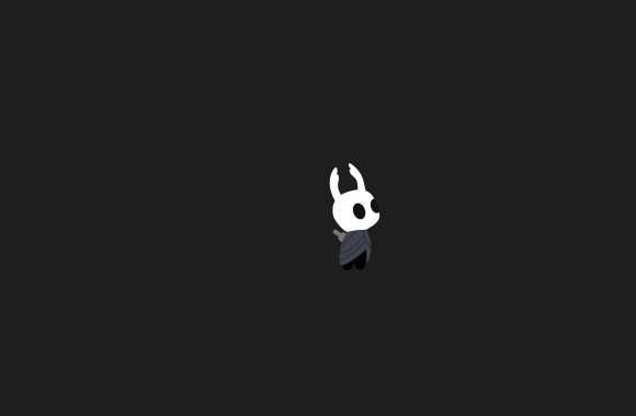 Video Game Hollow Knight