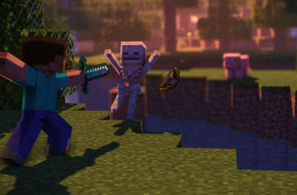 Video Game Minecraft