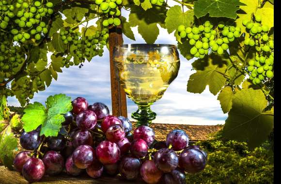 Vine Glass Fruit Food Grapes