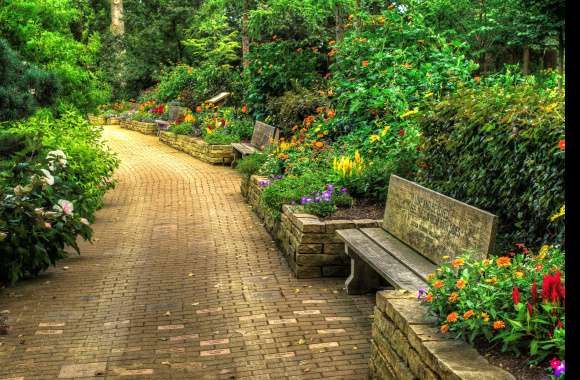 Walkway Stone Flower Spring Photography Park