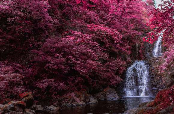 Waterfall Pink aesthetic