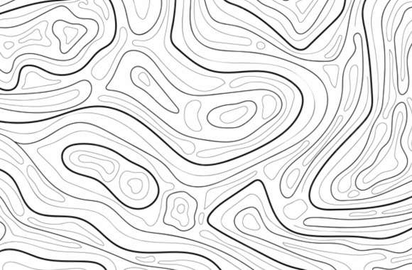 White Black Design Swirl Abstract Topography