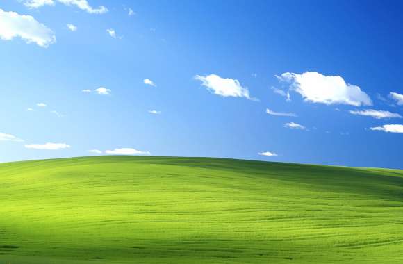 Windows XP Default