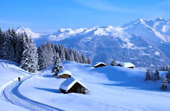 Winter Mountain Landscape -