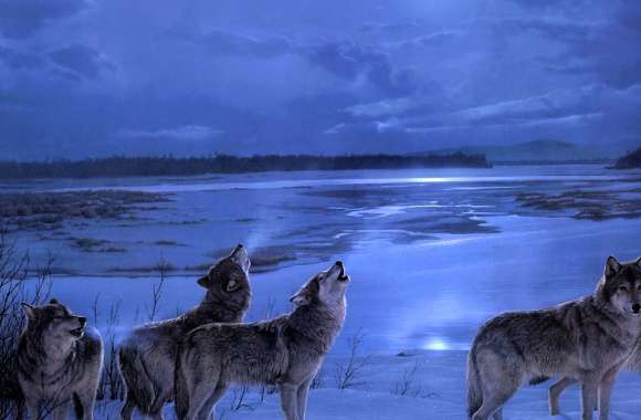 Winter Night Wolves