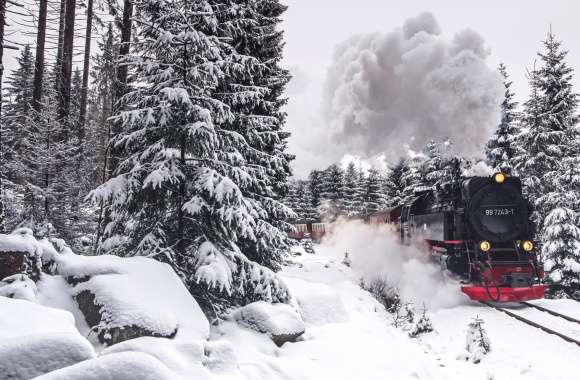 Winter Steam Train in Snowy Forest -