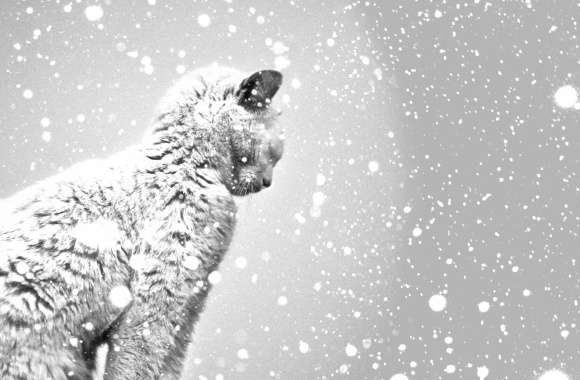 Winter Whispers Snow-Covered Cat