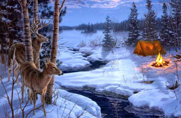 Winter Wilderness with White-Tailed Deer