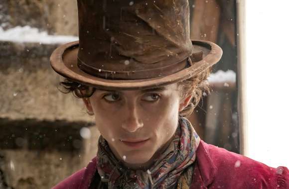 Wonka-Inspired Timothée Chalamet