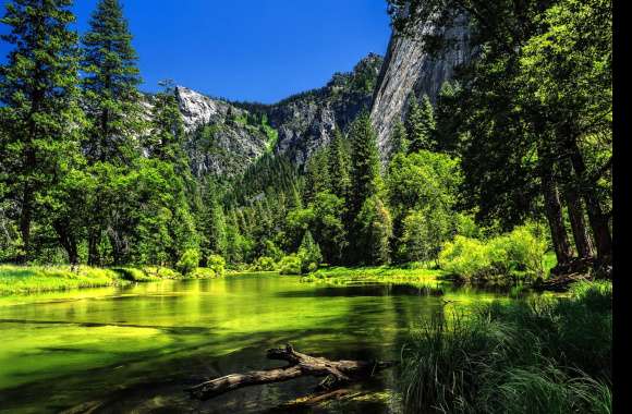 Yosemite Nature Lake