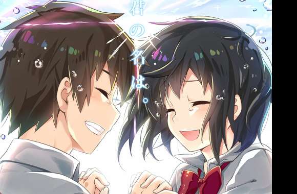 Your Name Anime Taki & Mitsuha