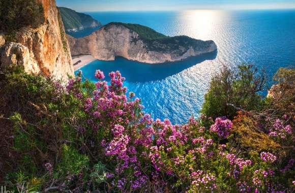 Zakynthos Navagio Beach with Pink Flowers