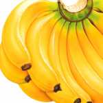 Food Banana free download