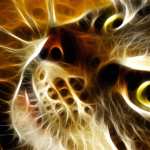 Fractal Kitten hd
