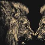 Majestic Lions wallpapers for iphone