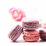 Sweets Food Macaron free download