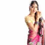 Celebrity Shriya Saran wallpapers for desktop