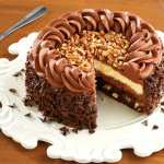 Delicious Chocolate Cake free download