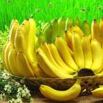 Food Banana images