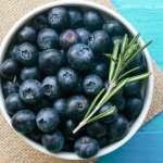 Food Blueberry wallpapers for desktop