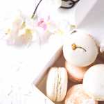 Food Macaron wallpaper