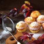 Food Muffin download